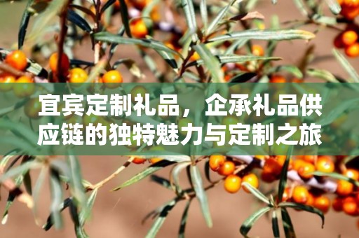 宜宾定制礼品，企承礼品供应链的独特魅力与定制之旅